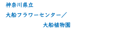 　神奈川県立 大船フラワーセンター／ 大船植物園